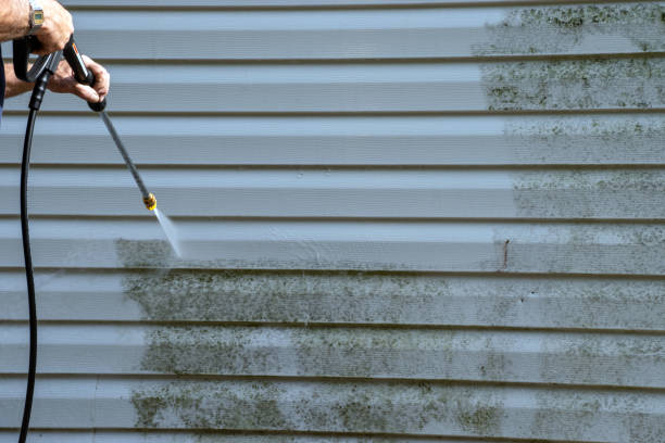 Affordable siding repair and maintenance services in Green, OH